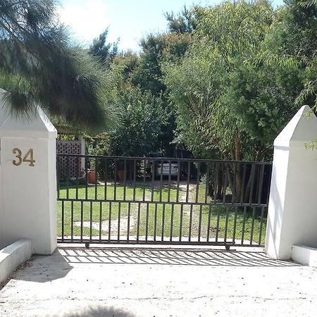 דירות 34 Steyn Street, בארידייל מראה חיצוני תמונה